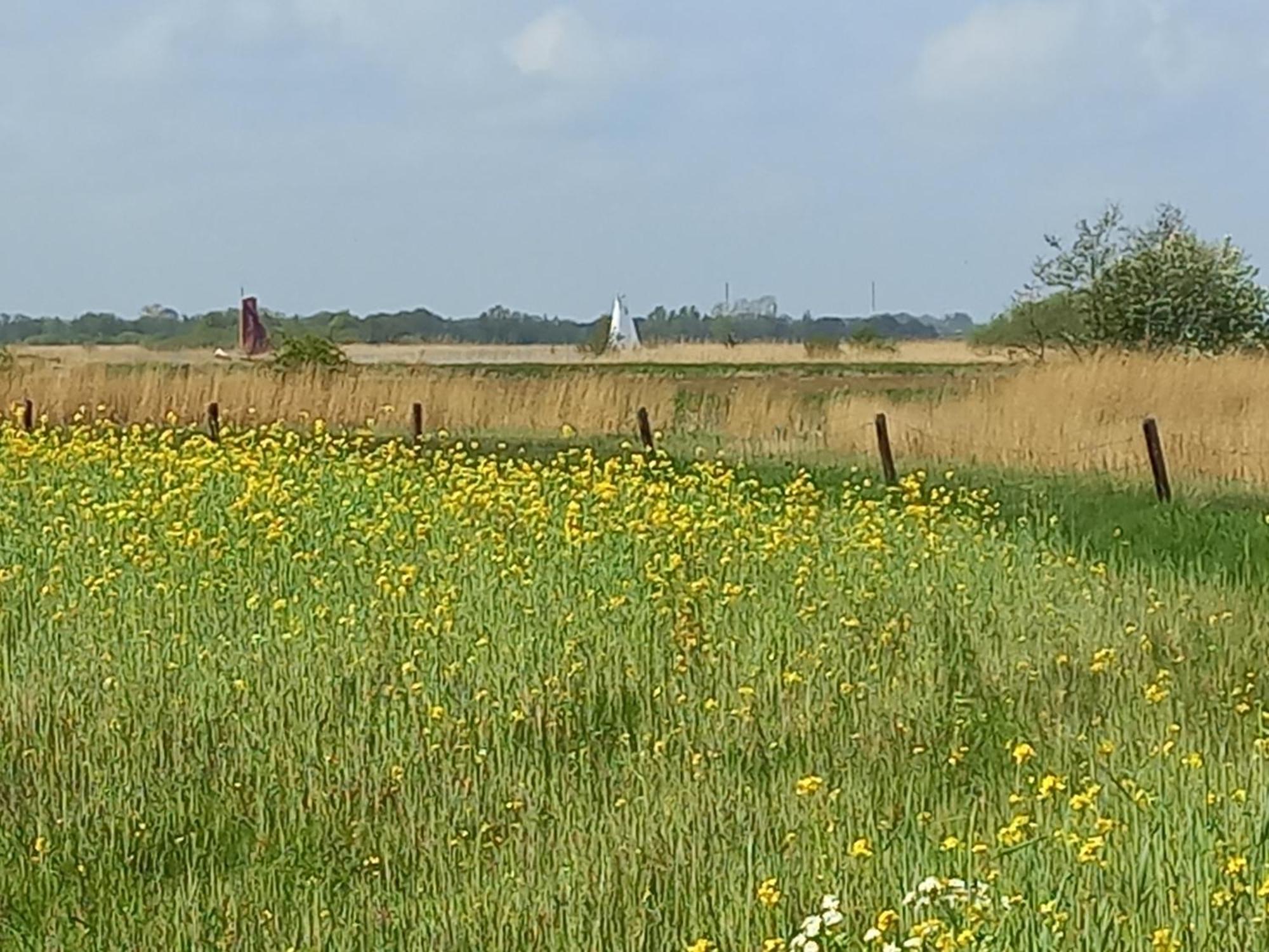 Eastay Oostermeer Eksteriør billede